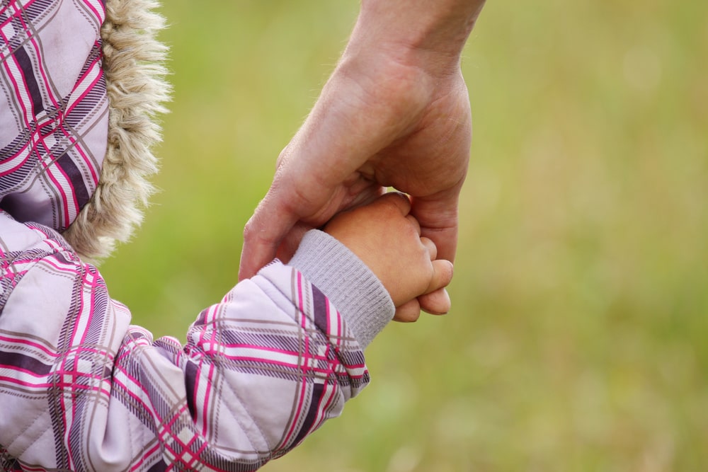 Child Support Lawyer